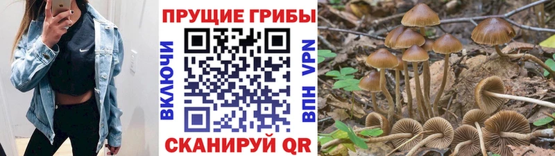 Псилоцибиновые грибы Magic Shrooms  Купить закладки  Когалым 
